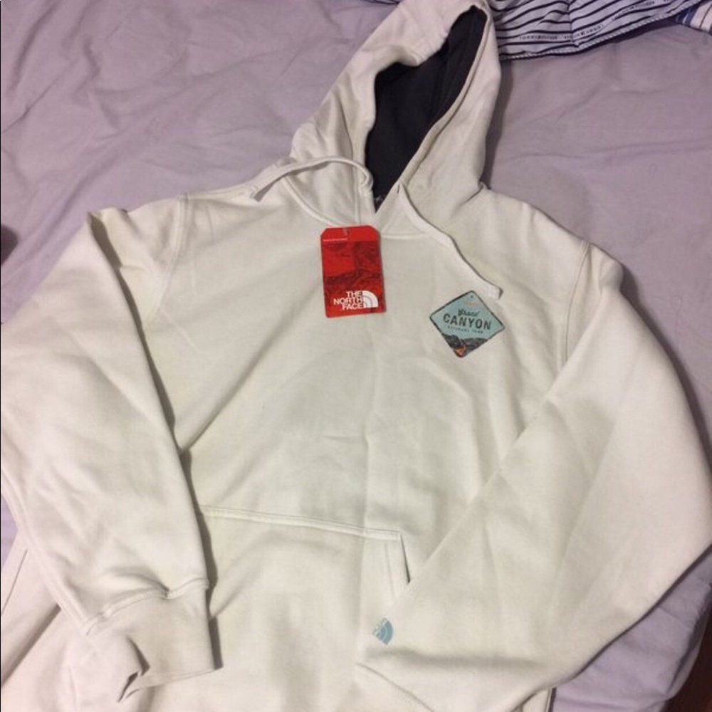The North face hoodie (white/Cream)
